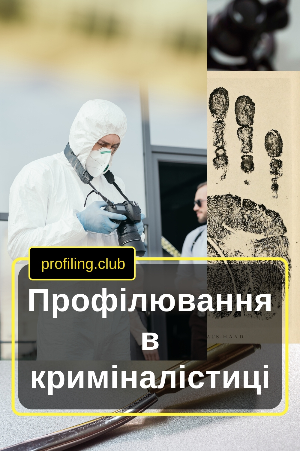 Профілювання в криміналістиці