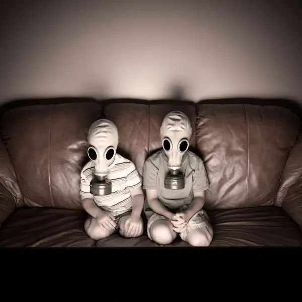 Агресія на м'яких лапах