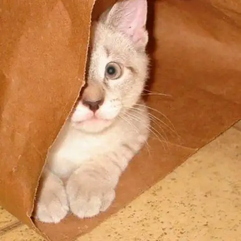 Базовые Эмоции